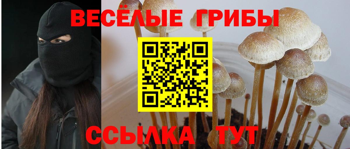 Острогожск  Псилоцибиновые грибы мицелий  Вход с VPN 